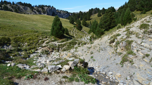 Déménageur Challans